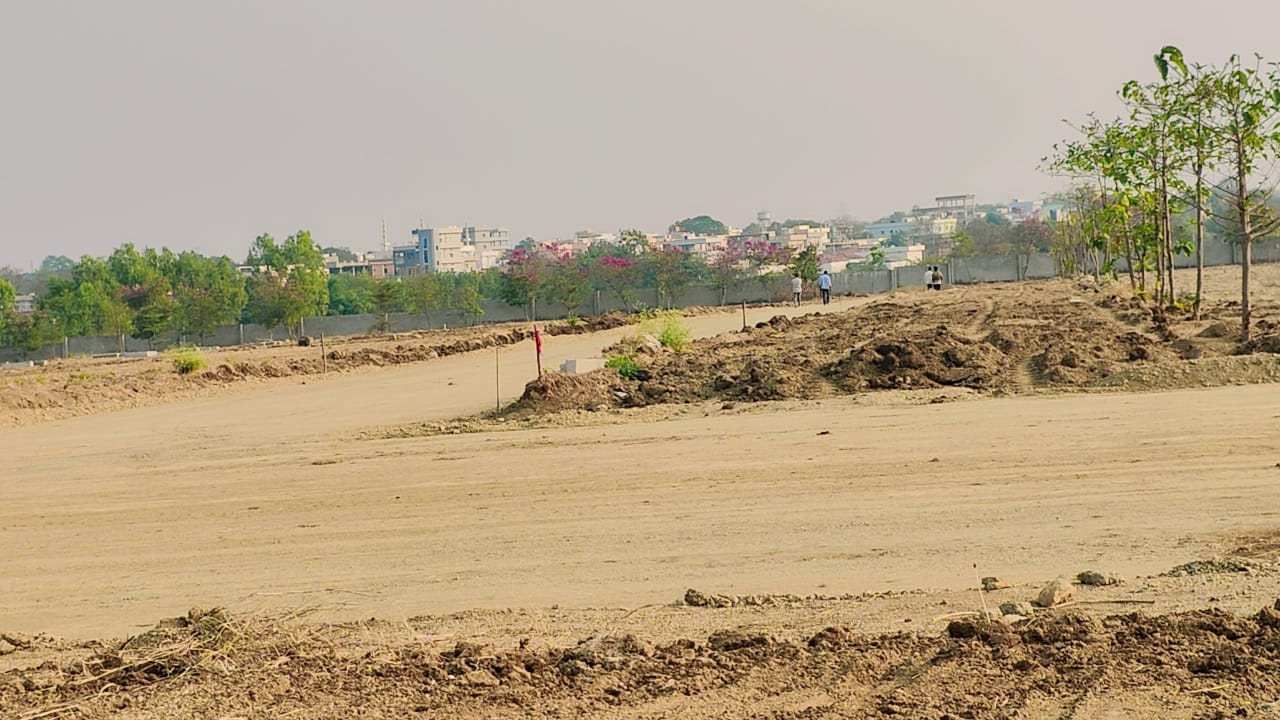 Sanctuary Project
